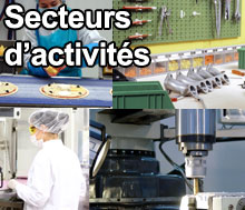 Secteurs d'activités                    