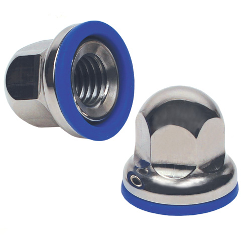 Cap nut for foot for the food industry - Stainless steel blind nut - 3-A standard -  - 